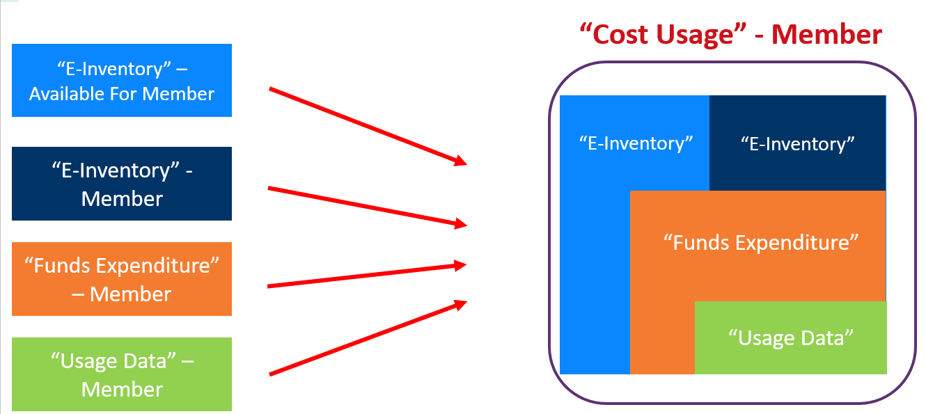 cost_usage_inventory_in_institution.png