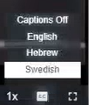 The captions language selection box in the Digital Viewer.