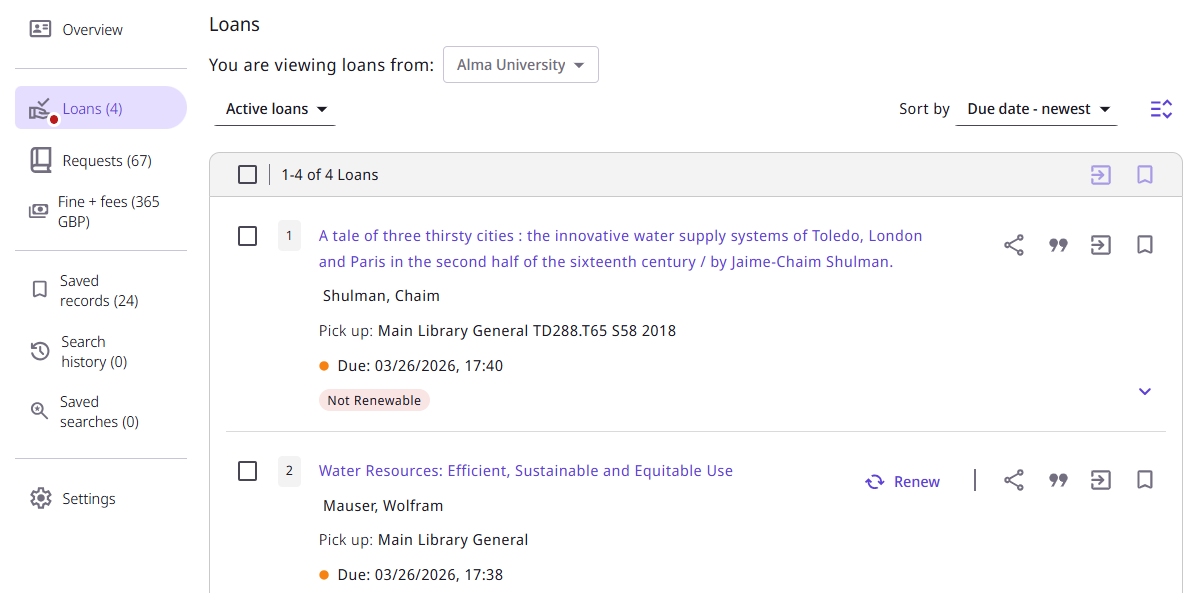 Loans tab in the User Area.