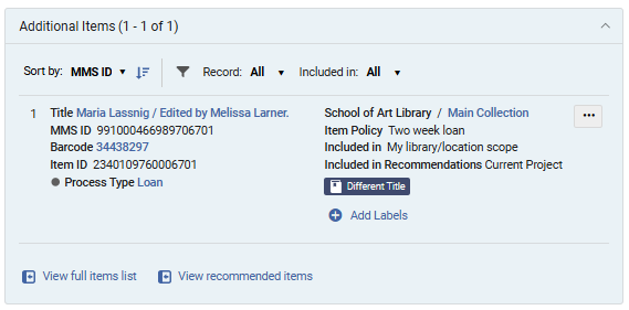 Additional Items section.png