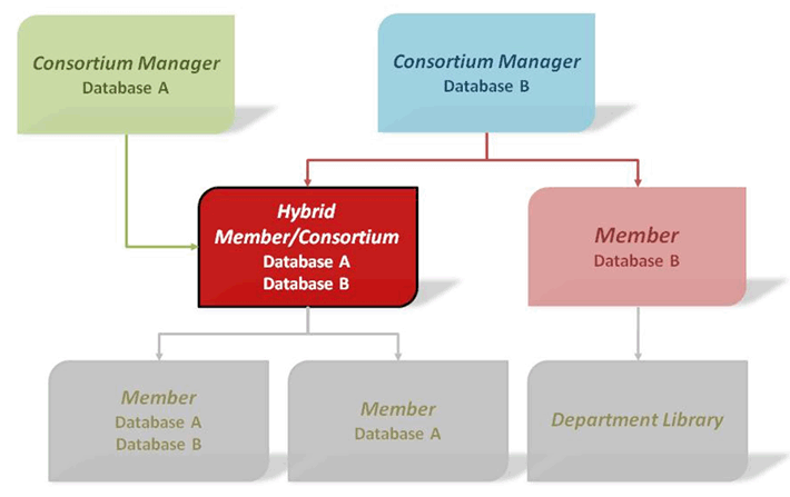 Complicated Hybrid Consortia Relationships