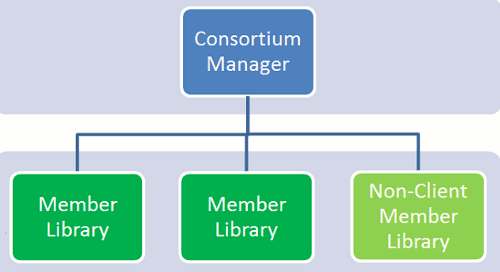 Simple Two-Tier Consortium Mode