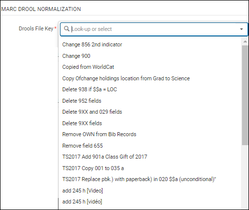 Normalization_Rules_Created_in_the_MD_Editor_are_Selectable_in_Process_Details_NewUI_02_TC.png