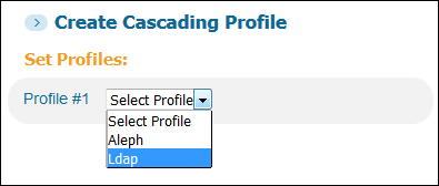 CC_Profile_Selection1.png
