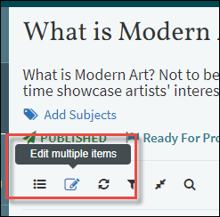 Edit Multiple Items.png